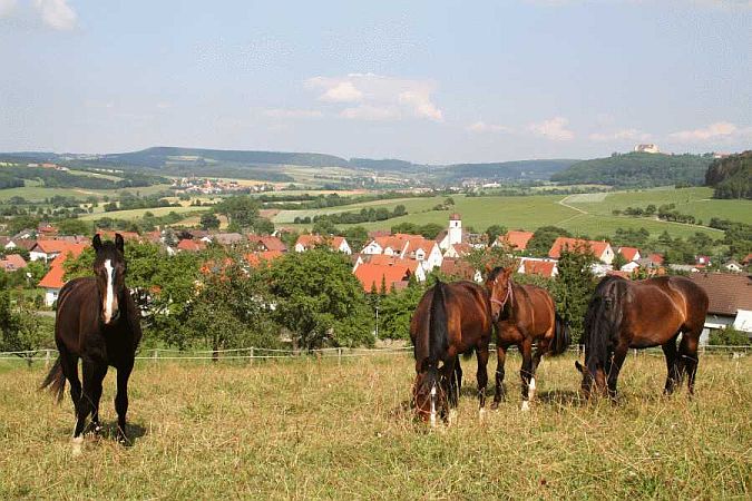 Bild Westhausen (Württemberg)