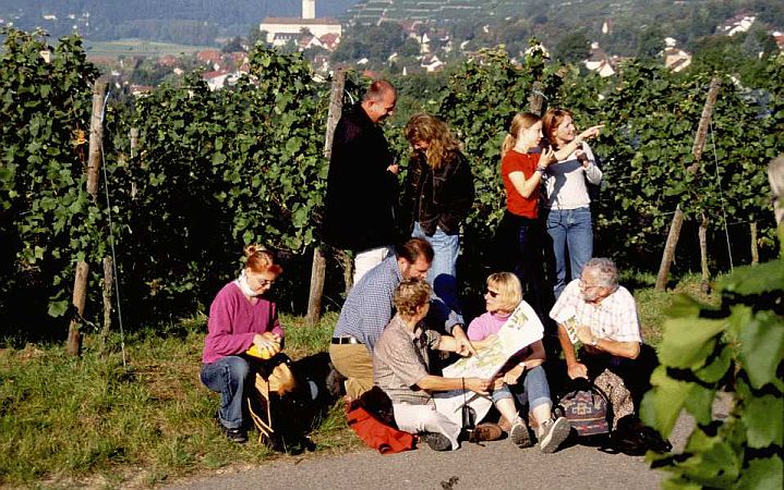 Bild Gundelsheim (Württemberg)