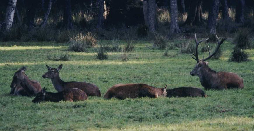 Bild Schömberg (Lkr. Calw)