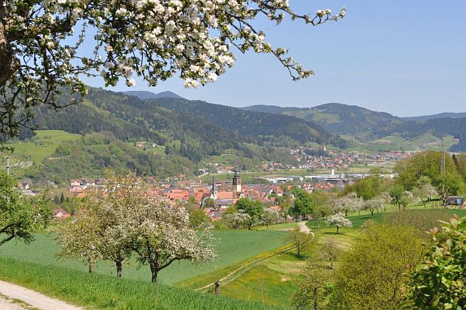 Bild Haslach im Kinzigtal