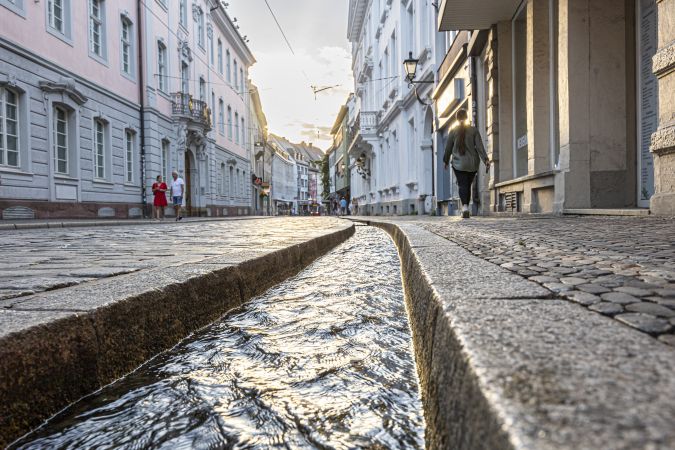 Bild Freiburg im Breisgau
