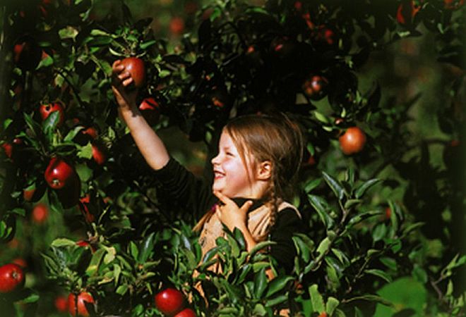 Bild Hagnau am Bodensee