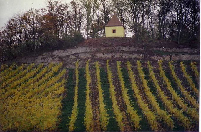 Bild Markt Einersheim