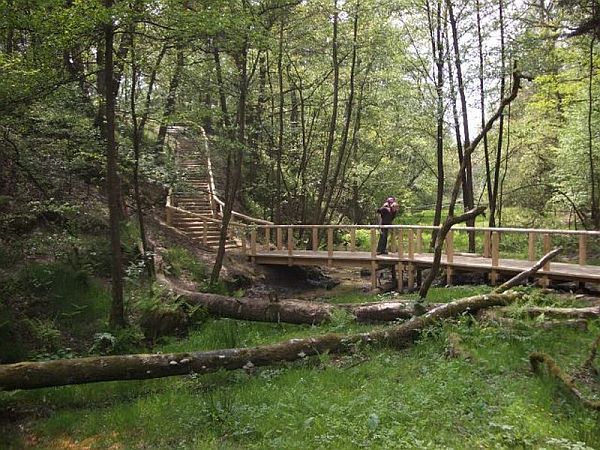 Bild Schloß Holte-Stukenbrock