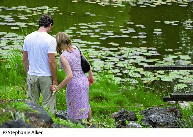 Bild Münster (Westfalen)
