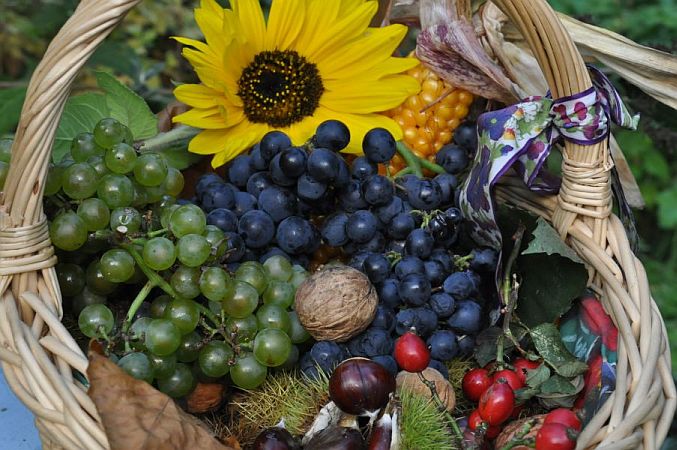 Bild Neustadt an der Weinstraße